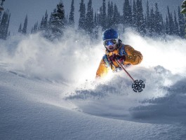 dafabet手机典版网页登录